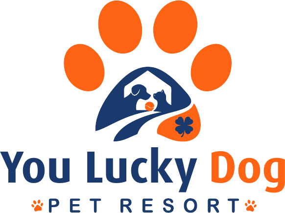 You Lucky Dog Pet Resort logo